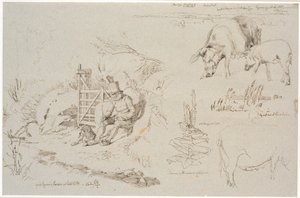 Vognserup'tan çalışma dergisi. T. v. Bir köpekle birlikte bir barda oturan bir çoban (eski Rasmus Larsen). Foth yer adları ile bir peyzaj çalışması. İki domuz dahil. Bir göldeki sazlıkların Thmf çalışması. Bir kraliyet mum bitkisi ve bir dişi domuz çal by Johan Thomas Lundbye