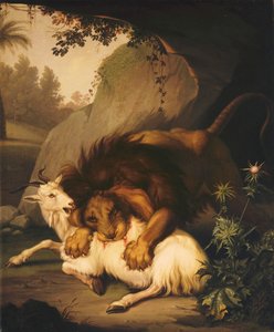 Keçiye Saldıran Aslan, 1785