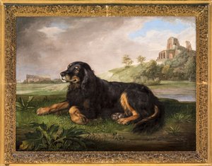 Palatine
