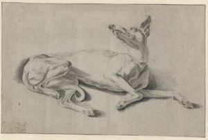 uzanmış tazı by Johan le Ducq (possibly)