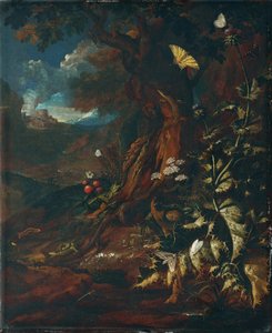 Sürüngenler ve böceklerle manzara (I) by Johann Adalbert Angermayer
