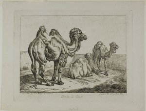  by Johann Adam Klein