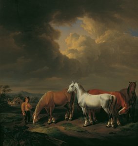 Beş Çiftlik Atı by Johann Baptist Michael Dallinger von Dalling