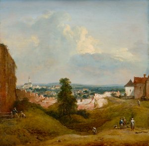 Klosterneuburg'daki Albrechtsburg'dan görünüm