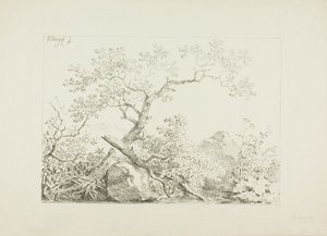 Suyun Yanındaki Ağaçlar ve Kayalar by Johann Christian Klengel
