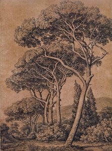 J C Reinhart Şemsiye çamları 1791 by Johann Christian Reinhart