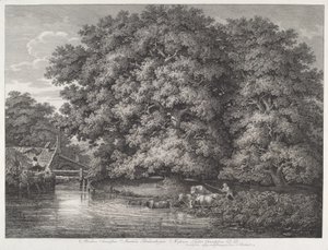 Great Oaks