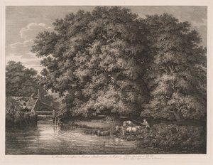 Great Oaks