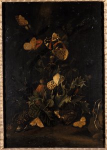 Kelebekler ve kurbağalı çiçekler (meşe ağacı üzerinde yağ) by Johann Christian Thomas Winck