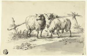 Koyun by Johann Christoph Kimpfel