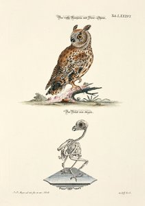  by Johann Daniel Meyer