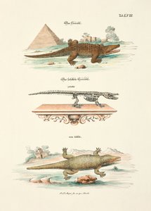  by Johann Daniel Meyer