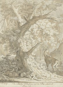 Avcı, yaşlı bir ağacın altında suda bir kızıl geyiğe demir atıyor. by Johann Elias Ridinger