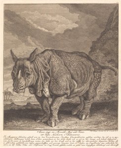 Nashorn Gergedanı by Johann Elias Ridinger