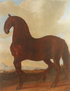 Eisgruber Stud