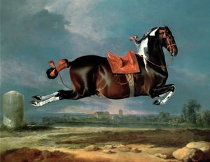The piebald horse 