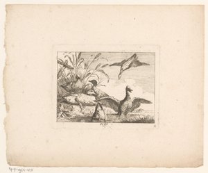 Altı ördekli manzara Manzaradaki kuşlar (dizi başlığı) by Johann Georg Hertel (I) (possibly)