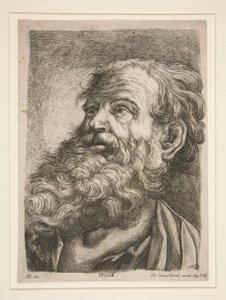 Erkek Baş (Bir Havarinin?) by Johann Georg Hertel
