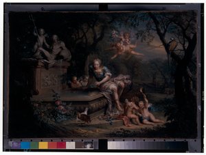 Bir Kuyuya Yansıyan Nergis by Johann Georg Platzer