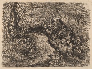 Bir Derenin Yanında Yaşlı Bir Söğüt by Johann Georg von Dillis