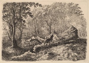 Dökülen Ağaç Gövdesi, 1794.