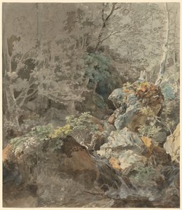 Bir Dağ Ormanında Şelaleler by Johann Georg von Dillis