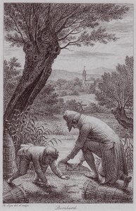  by Johann Heinrich Lips