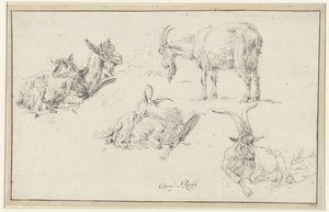 Bir keçinin çalışmaları by Johann Heinrich Roos (possibly)