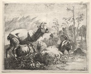 keçiler by Johann Heinrich Roos