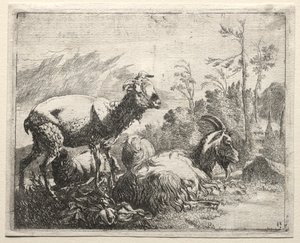 Keçiler, 1665. by Johann Heinrich Roos