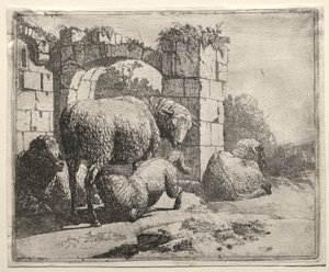 Kemer Harabelerinin Yakınındaki Koyunlar, 1665. by Johann Heinrich Roos