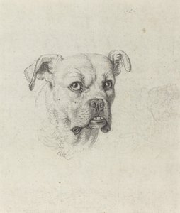 Boksör by Johann Heinrich Wilhelm Tischbein
