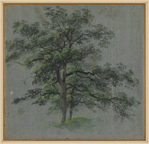 Two Trees recto Tree Studies ile 1800
