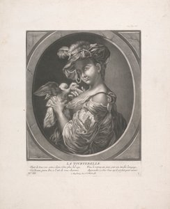 Güvercin by Johann Jacobus Haid