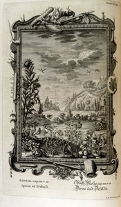 İsviçreli bilgin tarafından 'Physica Sacra'dan bakır levha gravürü. Johann Jakob Scheuchzer