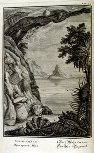 İsviçreli bilgin tarafından 'Physica Sacra'dan bakır levha gravürü. Johann Jakob Scheuchzer