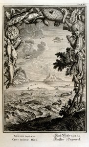 İsviçreli bilgin tarafından 'Physica Sacra'dan bakır levha gravürü. Johann Jakob Scheuchzer