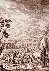İbraniler çekirge vebasıyla savaşıyor by Johann Jakob Scheuchzer