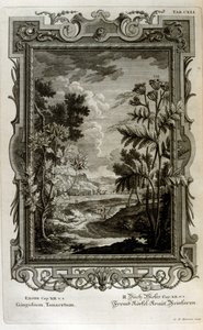illüstrasyon by Johann Jakob Scheuchzer