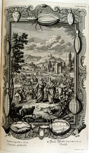 Bit ve orta yaş vebası by Johann Jakob Scheuchzer