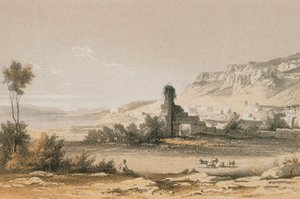 Magdala (Majdal Şems). Bernatz ve diğerleri tarafından gravür - Steinkopk J.F. Editore by Johann Martin Bernatz