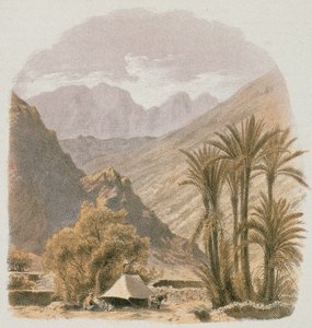 Sina. Bernatz ve diğerleri tarafından gravür - Steinkopk J.F. Editör by Johann Martin Bernatz