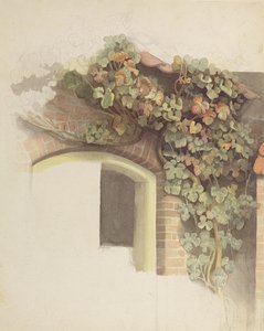 Bilinmeyen resim