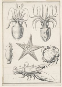 Beşinci Günün Çalışması by Johann Melchior Füssli
