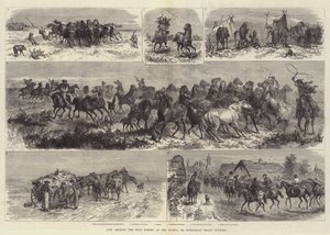 Puszta