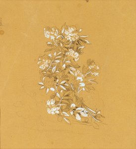 Blumenbuket by Johann Peter Krafft