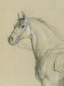 "Aspern savaşında personeli ile Arşidük Karl" için at çalışması by Johann Peter Krafft