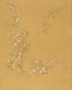 Weinstock, "Bağda Hermann ve Dorothea" Çalışması by Johann Peter Krafft