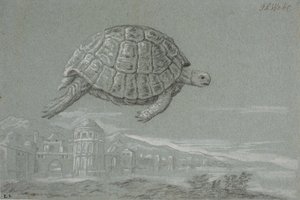 Bir kaplumbağanın incelenmesi ve deniz kenarında müstahkem bir şehir beklentisi (Venedik)