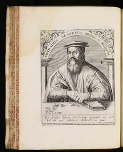 Conrad Gessner